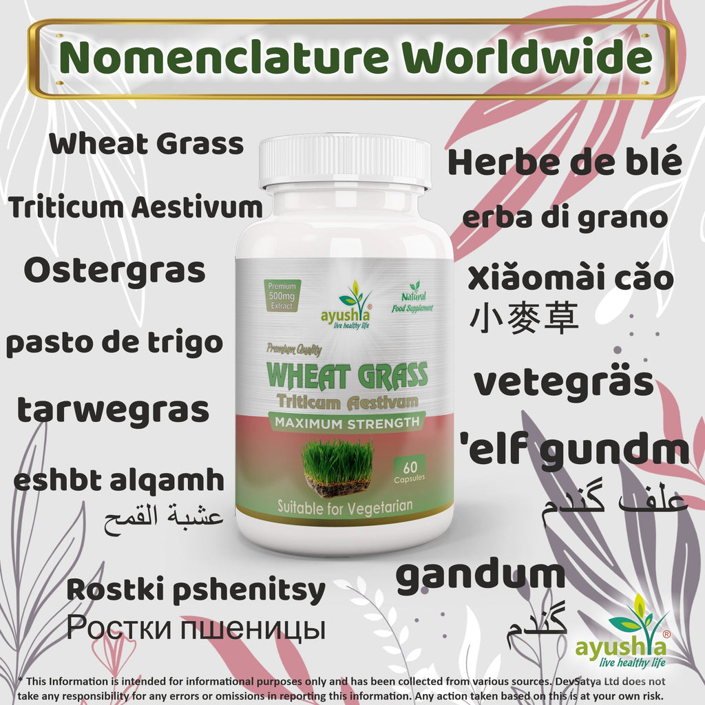 Ayushya Wheat Grass Capsules (Wheatgrass) Daily Greens & Antioxidant Support - Vegan, Gluten Free, Non-GMO, 60 Capsules-2
