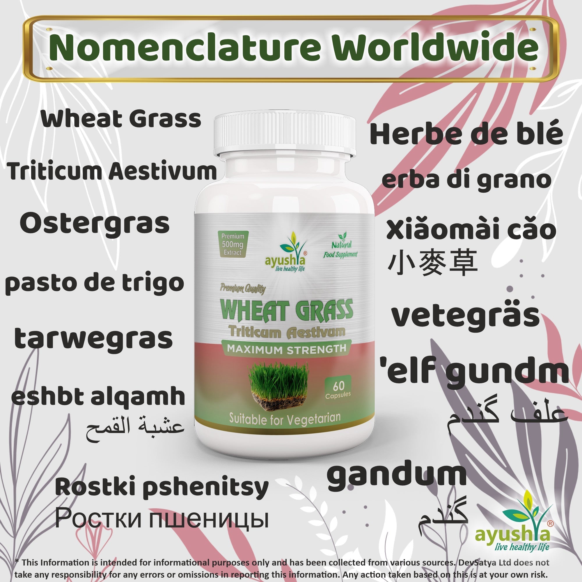 Ayushya Wheat Grass Capsules (Wheatgrass) Daily Greens & Antioxidant Support - Vegan, Gluten Free, Non-GMO, 60 Capsules-2