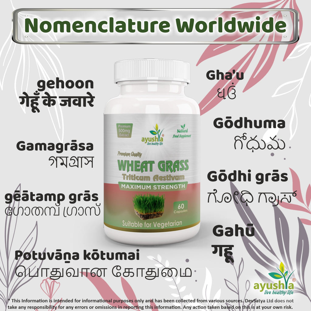 Ayushya Wheat Grass Capsules (Wheatgrass) Daily Greens & Antioxidant Support - Vegan, Gluten Free, Non-GMO, 60 Capsules-3